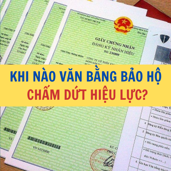 Khi nào văn bằng bảo hộ bị chấm dứt hiệu lực? - Công ty Luật Thuận Đức